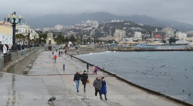 Новости Крыма - В Севастополе убивают краснокнижные сосны