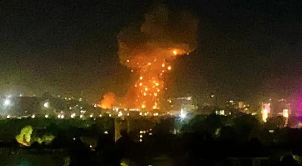 Мировые новости - Диких хищников Севастополя ждёт особое угощение