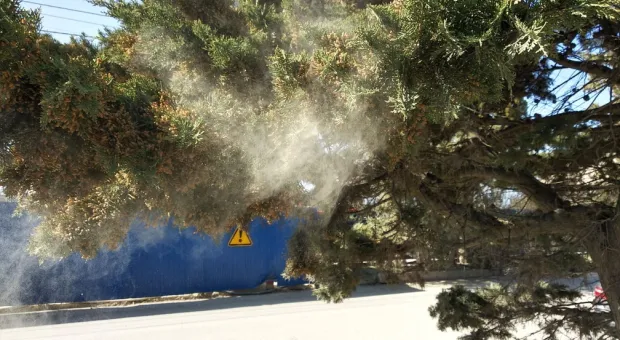 Новости России - 