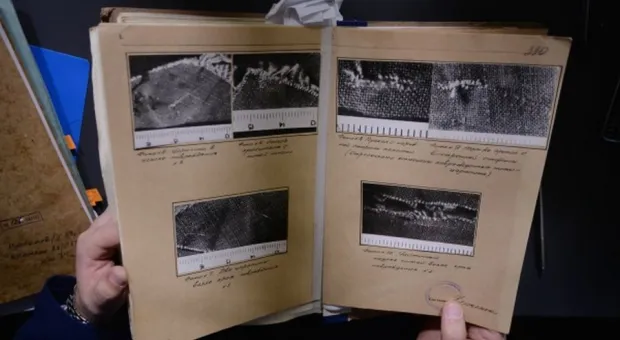 Семь охраняемых первоцветов Крыма и Севастополя