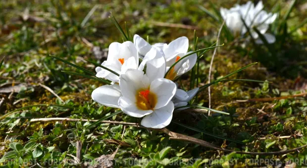 В Крыму уволился февраль