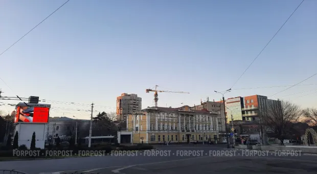 Новости Крыма - Голубые ели в Севастополе обрекли на гибель