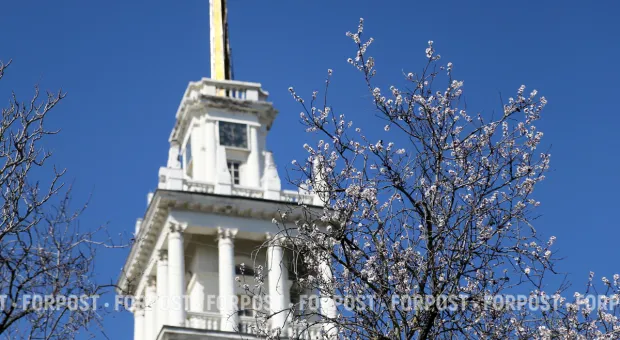 Новости Севастополя - 