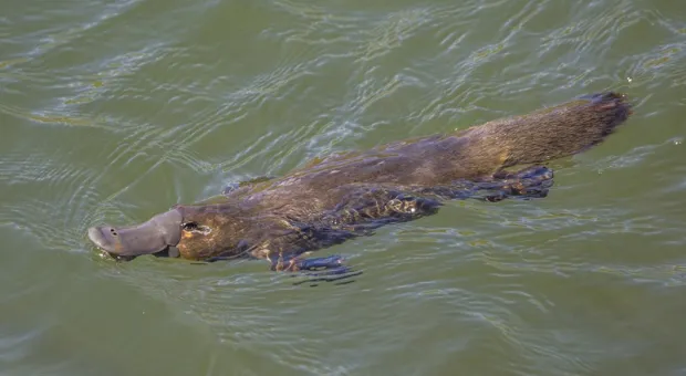 Мировые новости - Наличка пошла в рост: кому адресован этот сигнал и о чём он говорит