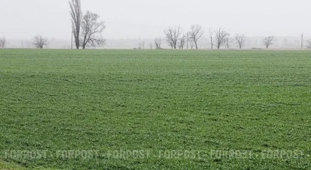 Новости Крыма - 