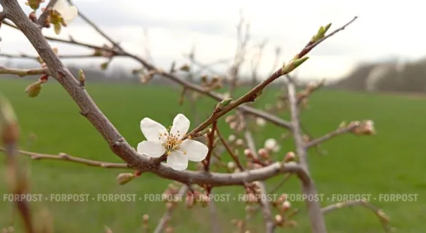 Новости Крыма - 