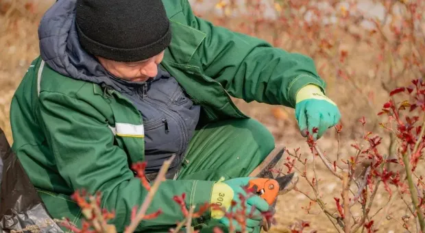 Новости Севастополя - «Ласковый убийца»: врачи подтвердили вероятность новой эпидемии в России