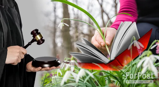 Новости России - 