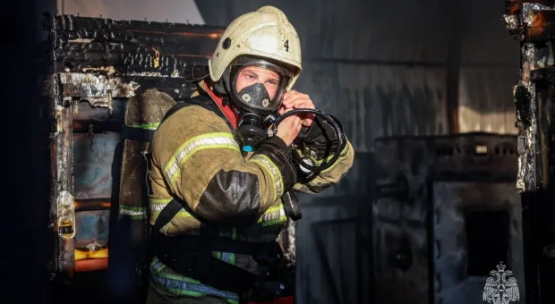 Новости Севастополя - 