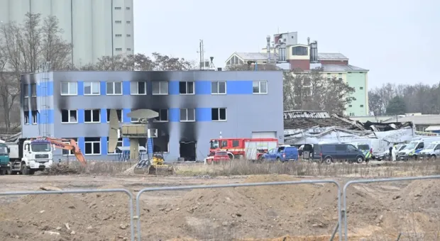 Мировые новости - Лежать на диване без терзаний: что мешает нам отдыхать и не стыдиться