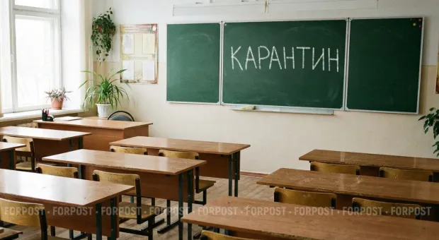 Новости Севастополя - В Севастополе жёстко зачистили стихийщиков у Московского рынка