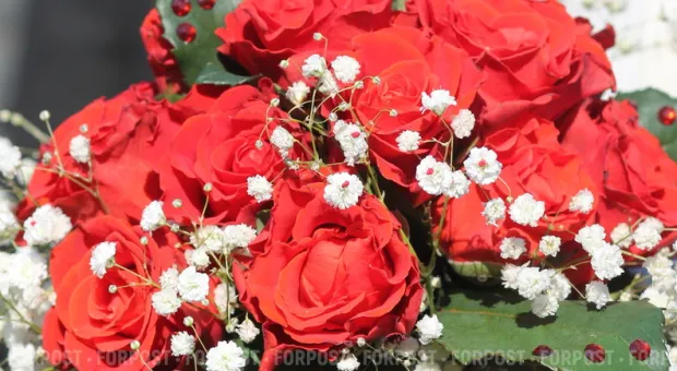 Новости Севастополя - Поисковики обнаружили санитарное захоронение