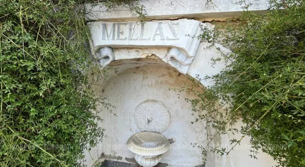 Новости Крыма - Грач о приватизации Массандры: потеряем достояние Крыма