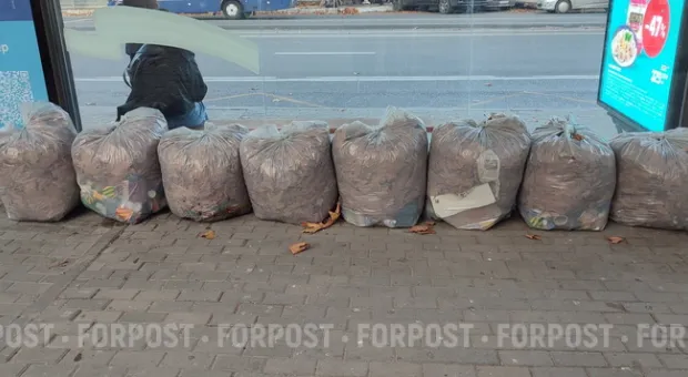 Новости Севастополя - Севастопольцы побегут