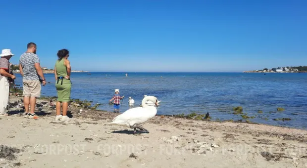 Новости Севастополя - Первый день-2013: все на пляже!