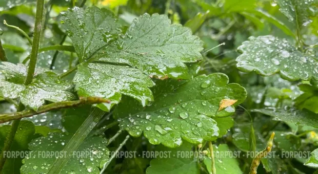 Новости Крыма - 