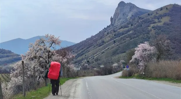 Новости Крыма - 