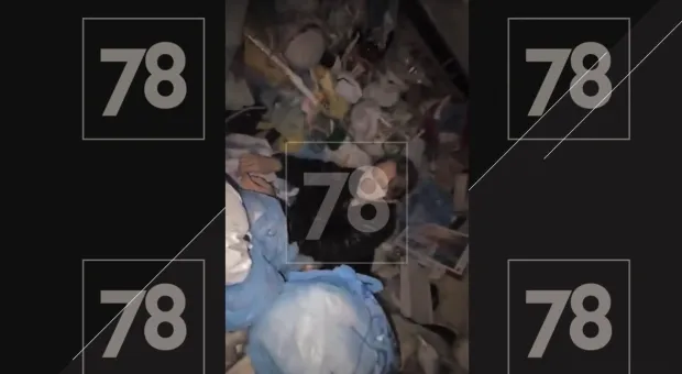 Новости России - 