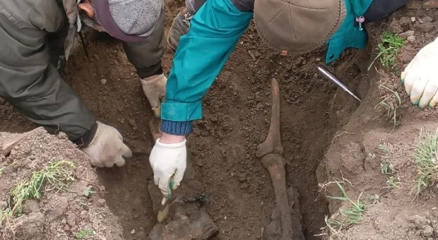 Новости Крыма - Киев готов взять деньги на ремонт «Дружбы» - но ремонтировать не будет