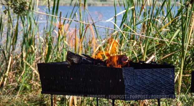 Новости Крыма - Перевозка наркотиков в Карибском море привела к появлению акул-наркоманов