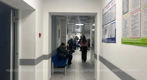 Новости Севастополя - В список севастопольских пострадавших от ковида попали зоопарки и универмаги 