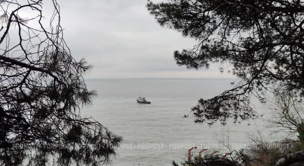 Новости Севастополя - Севастополь сможет продавать рыбу в Турцию