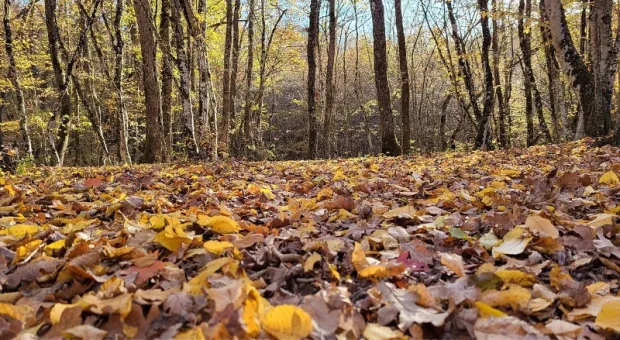 Новости Севастополя - В Севастополе 4 месяца не могут уничтожить опасную мину, найденную в Голубой бухте