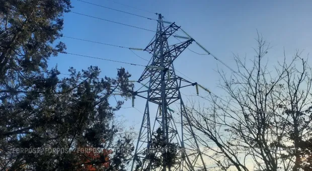 Новости Крыма - В Эстонии стараются не замечать Нарвскую народную республику