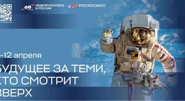 Новости Севастополя - Севастополь расцветает под пасмурным небом