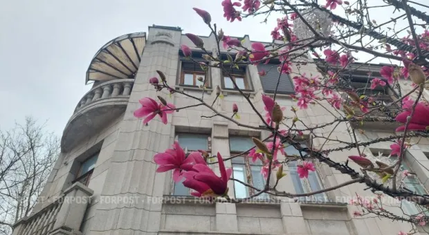 Новости Крыма - 