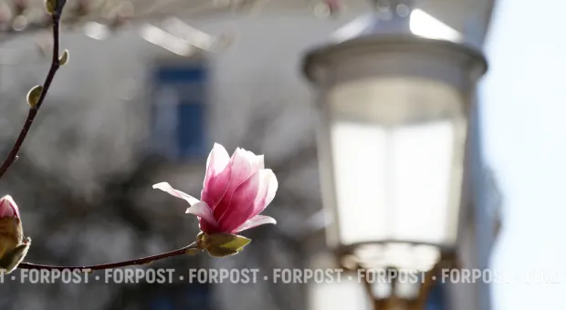 Новости Севастополя - Российские ученые представили новую технологию восстановления организма