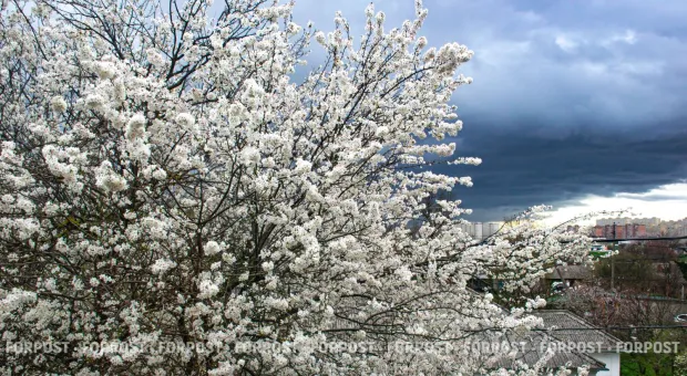 Новости России - 