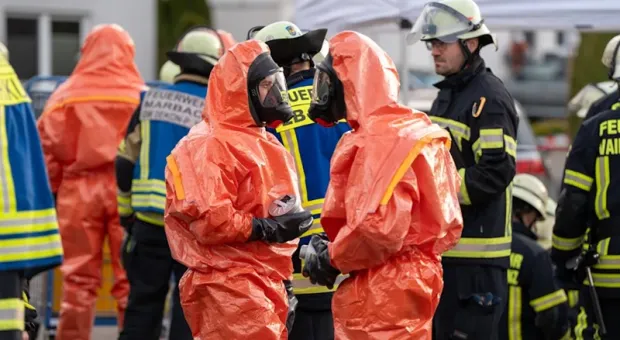 Мировые новости - Инцидент с выброшенными щенками напомнил о причинах проблемы бездомных животных