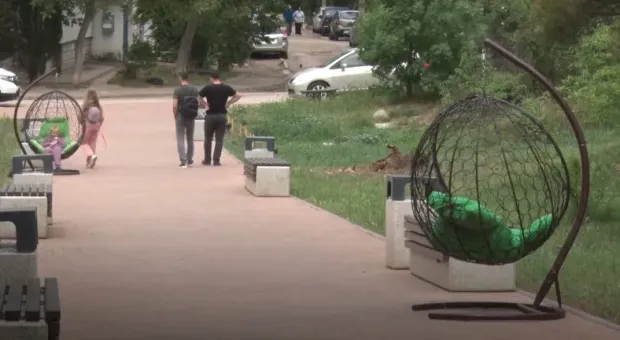 Новости Севастополя - 