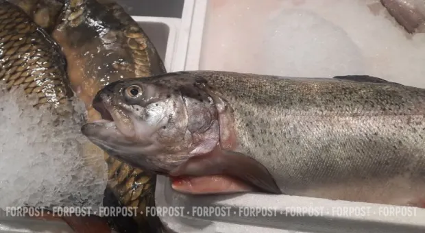 Новости Крыма - 