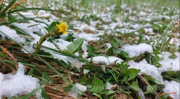 Заморозки и снег в апреле для Крым не аномалия, а норма
