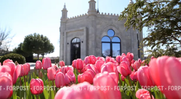 Новости Севастополя - Разработка российских учёных ускорит создание новых лекарств