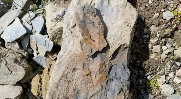 Новости Крыма - 