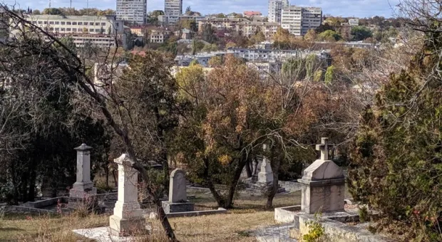 Новости Севастополя - 