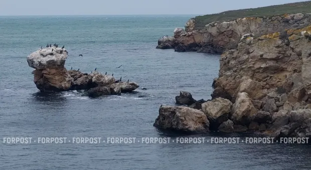 Ещё один заповедник Крыма закрыли для посетителей в 2026 году