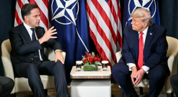 Мировые новости - У севастопольского винодела Павла Швеца волк покусал собаку