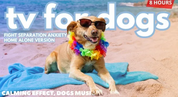 Мировые новости - 