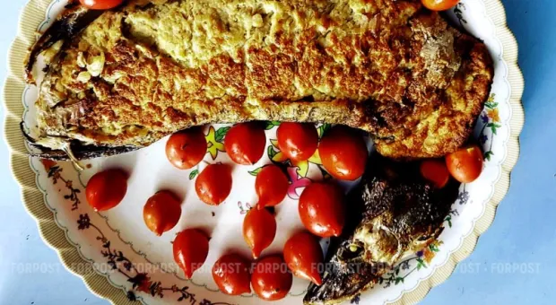 Новости России - 