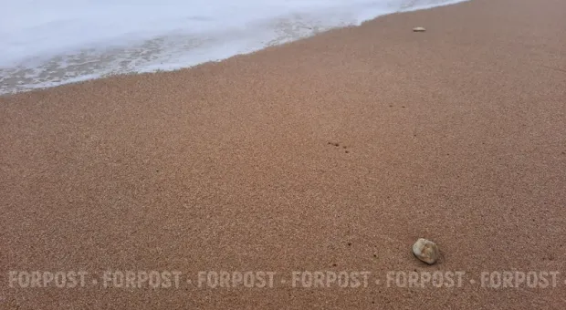 Новости Севастополя - Минус для «плюсов»