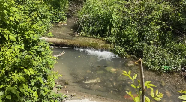 Новости Севастополя - 