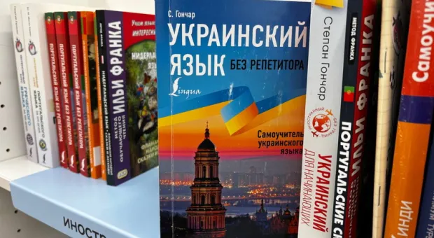 Новости Севастополя - Президент Украины ратует за открытие в Севастополе филиала Киево-Могилянской академии