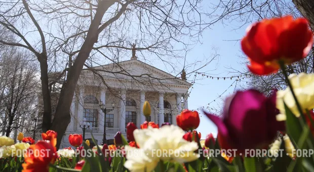 Новости Севастополя - 