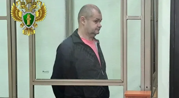 Новости Севастополя - «Луиза-Алерт»: трёхлетняя девочка, которую бросила сестра, чудом выжила в лесу