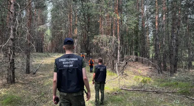 Новости России - 