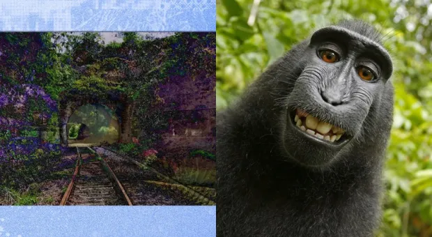 Мировые новости - Протесты не помогли: новой гостинице в тихом центре Севастополя быть